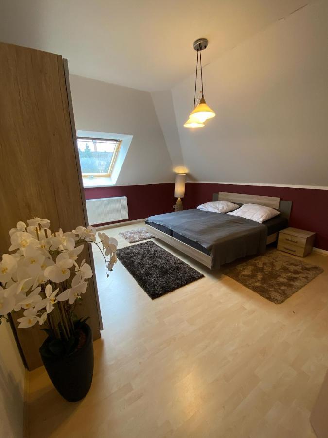 Ferienwohnung Oelzschau - Urlaub Im Leipziger Neuseenland Rötha Екстериор снимка