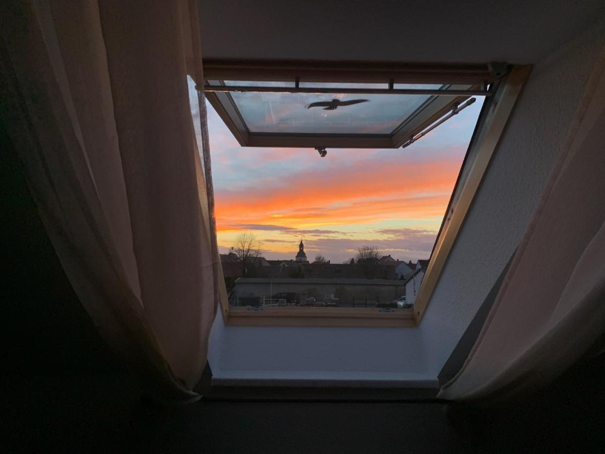 Ferienwohnung Oelzschau - Urlaub Im Leipziger Neuseenland Rötha Екстериор снимка